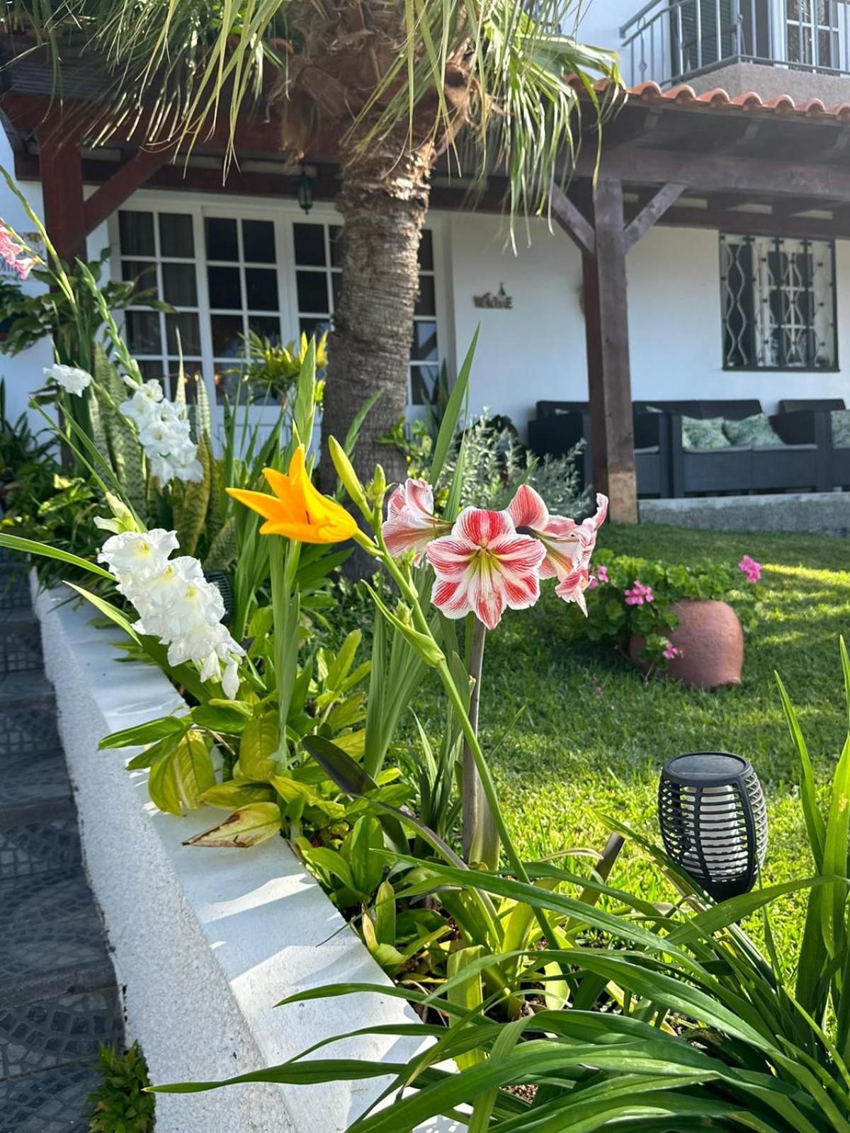 Villa O Meu Sonho Calheta  Exterior foto